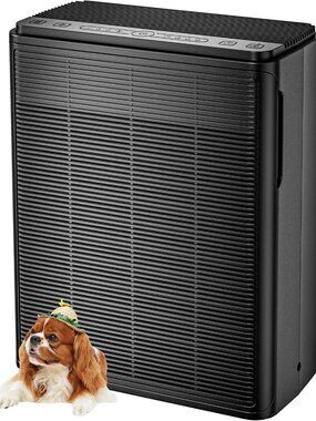 Large Room Air Purifier for Home, HEPA Filter, Washable Filters, Pet & Smoke
